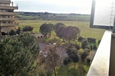 IMG-20210712-WA0009