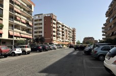 IMG_8244