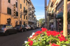 IMG_4624