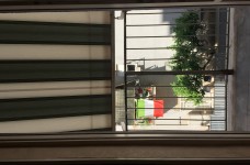 IMG_8526