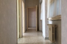 IMG_8527