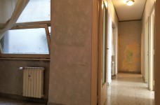 IMG_8544