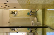 IMG_7456