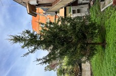 IMG_8940