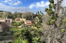 IMG_9038