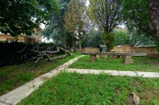 IMG_20230526_100346