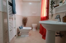 IMG_20230331_102303