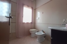 IMG_20230331_102446