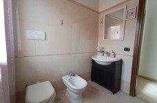 IMG_20230331_102531