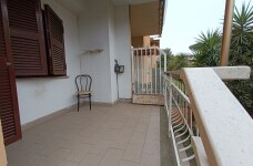 IMG_20230331_103428