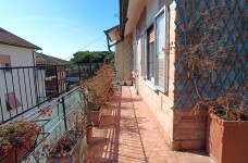IMG_20231004_115134