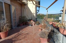 IMG_20231004_163328
