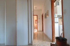 IMG_20231004_164352