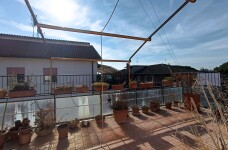 IMG_20231006_101412